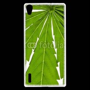 Coque Huawei Ascend P7 Feuille de cannabis 4