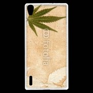 Coque Huawei Ascend P7 Fond cannabis vintage