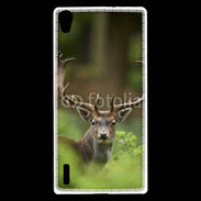 Coque Huawei Ascend P7 Portrait de Cerf 15