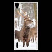 Coque Huawei Ascend P7 Cerf et biche en troupeau