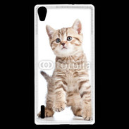 Coque Huawei Ascend P7 Adorable chaton 7