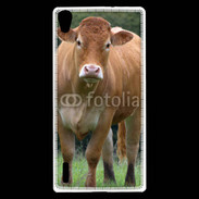 Coque Huawei Ascend P7 Vache de race limousine