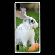 Coque Huawei Ascend P7 Lapin et carotte