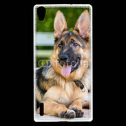 Coque Huawei Ascend P7 Portrait d'un berger allemand adulte