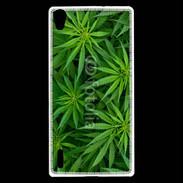 Coque Huawei Ascend P7 Feuilles de marijuana