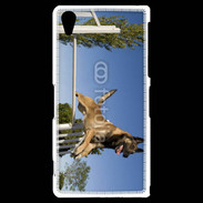 Coque Sony Xperia Z2 Chien agility