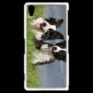 Coque Sony Xperia Z2 Chien Border Collie noir et blanc