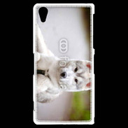 Coque Sony Xperia Z2 Chien Husky de Sibérie 2