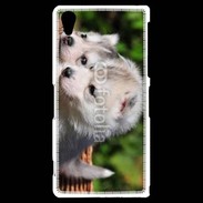 Coque Sony Xperia Z2 Chiot Husky de Sibérie 3