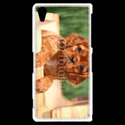 Coque Sony Xperia Z2 Chiot King Charles 2