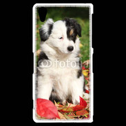 Coque Sony Xperia Z2 Adorable chiot Border collie