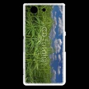 Coque Sony Xperia Z3 Compact Champs de cannabis