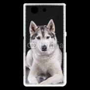Coque Sony Xperia Z3 Compact Chien Husky de Sibérie