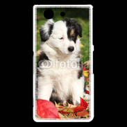 Coque Sony Xperia Z3 Compact Adorable chiot Border collie