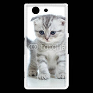 Coque Sony Xperia Z3 Compact Chaton gris en balade
