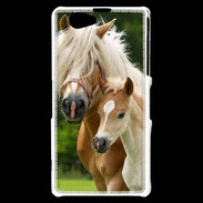 Coque Sony Xperia Z1 Compact Cheval et poulain