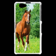 Coque Sony Xperia Z1 Compact Cheval arabe robe marron et blanche