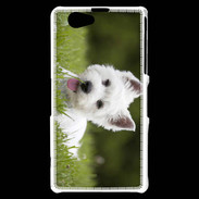 Coque Sony Xperia Z1 Compact Chiot terrier blanc 2