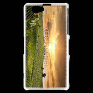 Coque Sony Xperia Z1 Compact Couché de soleil sur champs de vignes