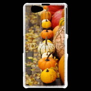 Coque Sony Xperia Z1 Compact Citrouilles