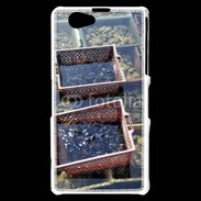 Coque Sony Xperia Z1 Compact Conchyliculteur