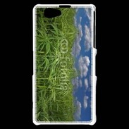 Coque Sony Xperia Z1 Compact Champs de cannabis