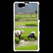Coque Sony Xperia Z1 Compact Rizière au Vietnam