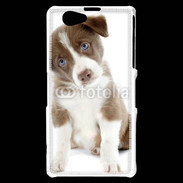 Coque Sony Xperia Z1 Compact Chiot Colley marron et blanc