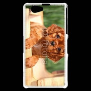 Coque Sony Xperia Z1 Compact Chiot King Charles 2