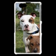 Coque Sony Xperia Z1 Compact Chien Staffordshire