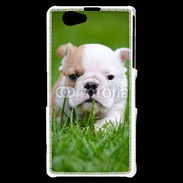 Coque Sony Xperia Z1 Compact Petit Bulldog anglais