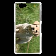 Coque Sony Xperia Z1 Compact Mignon petit labrador