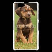 Coque Sony Xperia Z1 Compact Chiot marron 2