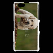 Coque Sony Xperia Z1 Compact Chiot labrador avec pomme de pin