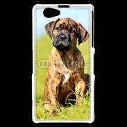 Coque Sony Xperia Z1 Compact Portrait d'un mastiff