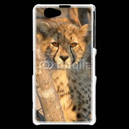 Coque Sony Xperia Z1 Compact Jeune félin