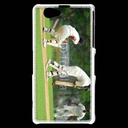 Coque Sony Xperia Z1 Compact Joueurs de cricket 1