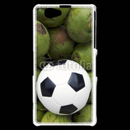 Coque Sony Xperia Z1 Compact Coupe du monde 2014 (3)