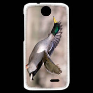 Coque HTC Desire 310 Canard Colvert 2