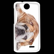 Coque HTC Desire 310 Bulldog anglais 2