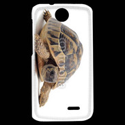 Coque HTC Desire 310 Tortue Hermann