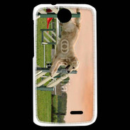 Coque HTC Desire 310 Agility Golden retriever