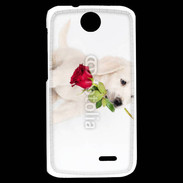 Coque HTC Desire 310 Chiot Golden retriever 2