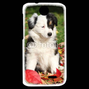 Coque HTC Desire 310 Adorable chiot Border collie