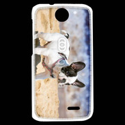 Coque HTC Desire 310 Bulldog français nain