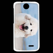 Coque HTC Desire 310 Chiot Golden retriever 16