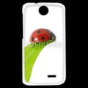 Coque HTC Desire 310 Belle coccinelle 10