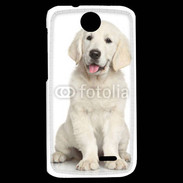 Coque HTC Desire 310 Chiot Golden retriever 100