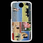 Coque HTC Desire 310 Beauté de la camargue