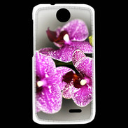 Coque HTC Desire 310 Belle Orchidée PR